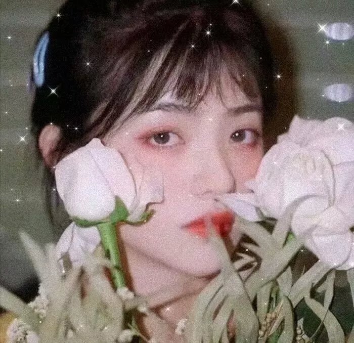 梦游夏威夷